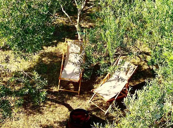 Apartma Mija-dekani Apartman Dekani